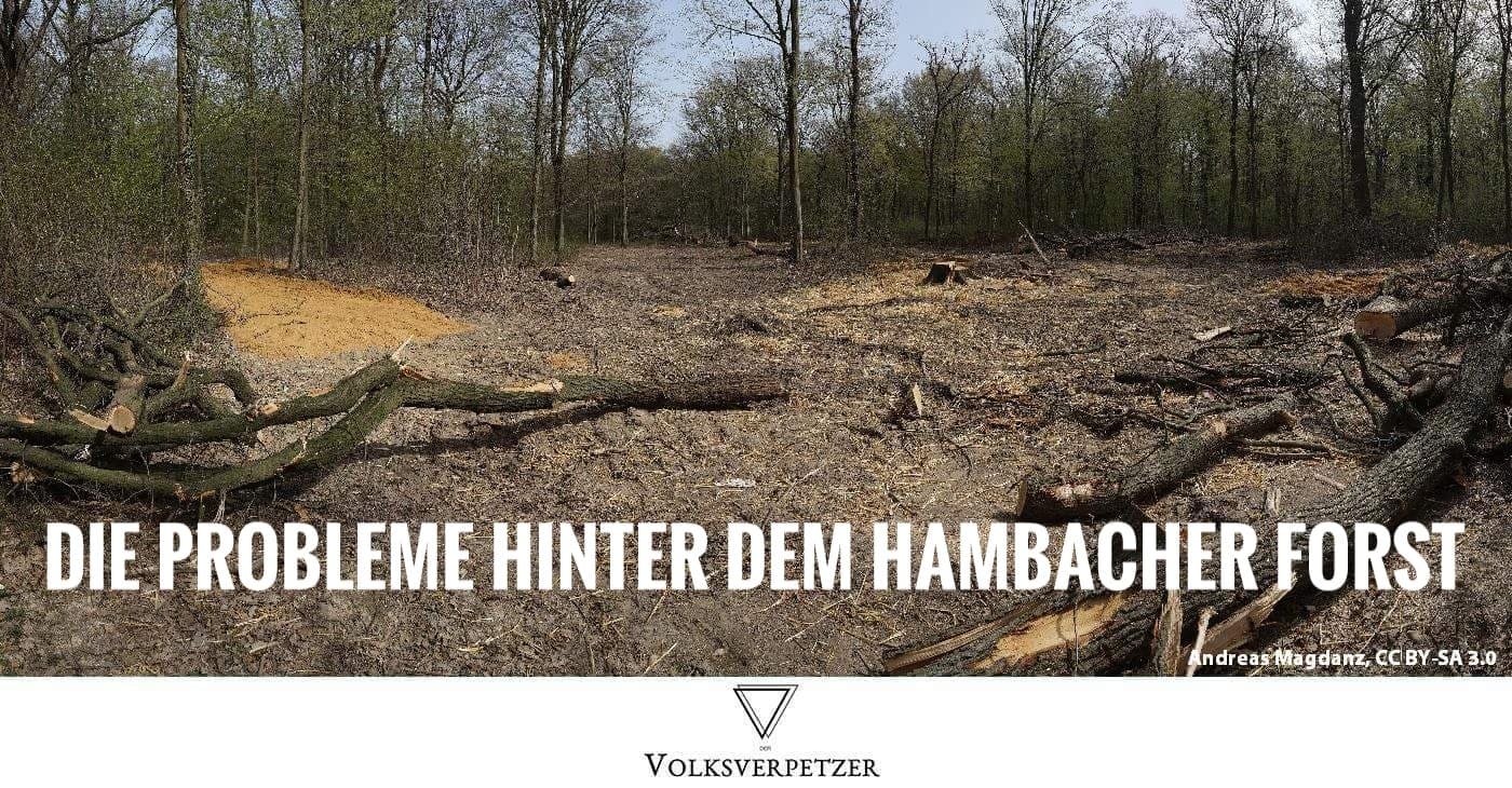 Die 3 größten Probleme hinter der Abholzung des Hambacher Forst