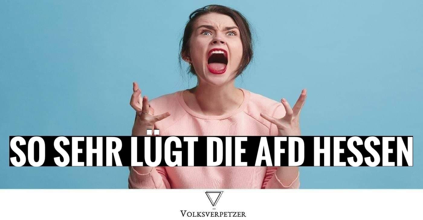 7 Lügen aus dem AfD-Wahlprogramm für Hessen