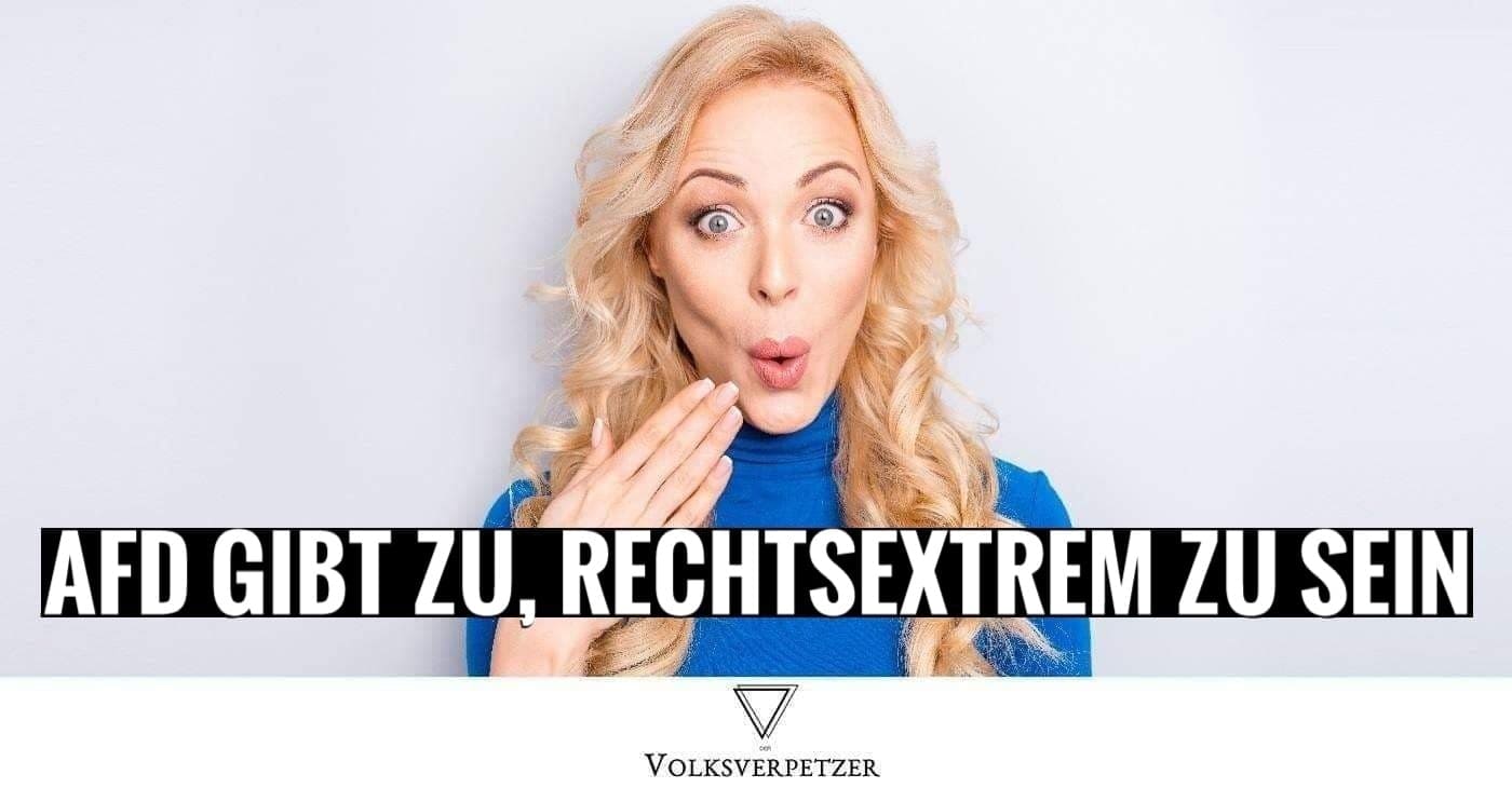 Dieses Gutachten der AfD ging nach hinten los