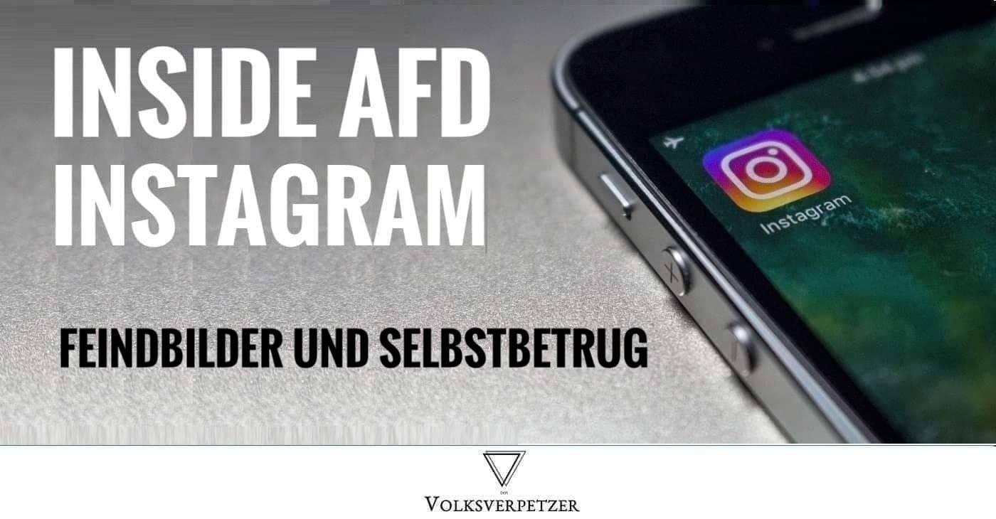 Inside AfD Instagram 3: Jubel über sinkende Umfragewerte, „grüne Pest“, „Multikulti-Quartett“