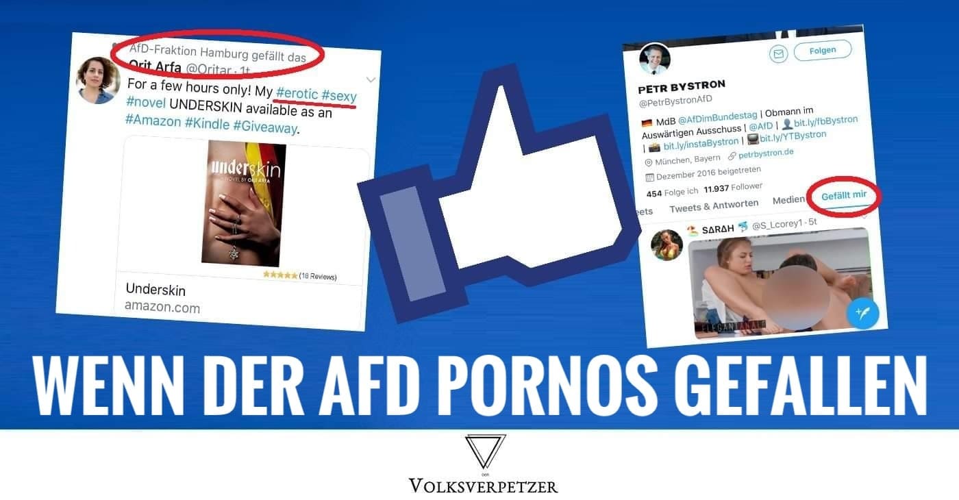 AfD liked Pornos: Was die AfD aus ihren Sex-Fehltritten lernen könnte