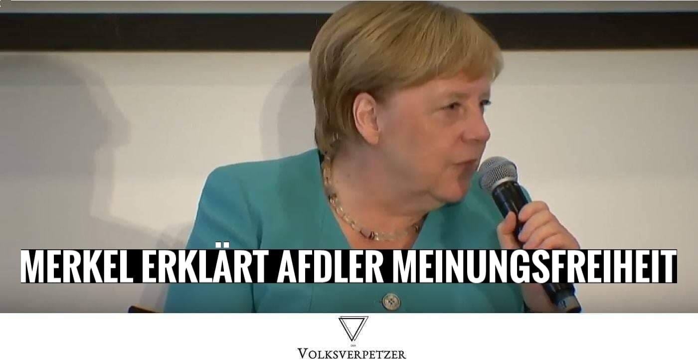 Gut gekontert: So cool erklärt Merkel einem AfD-Politiker Meinungsfreiheit – Video