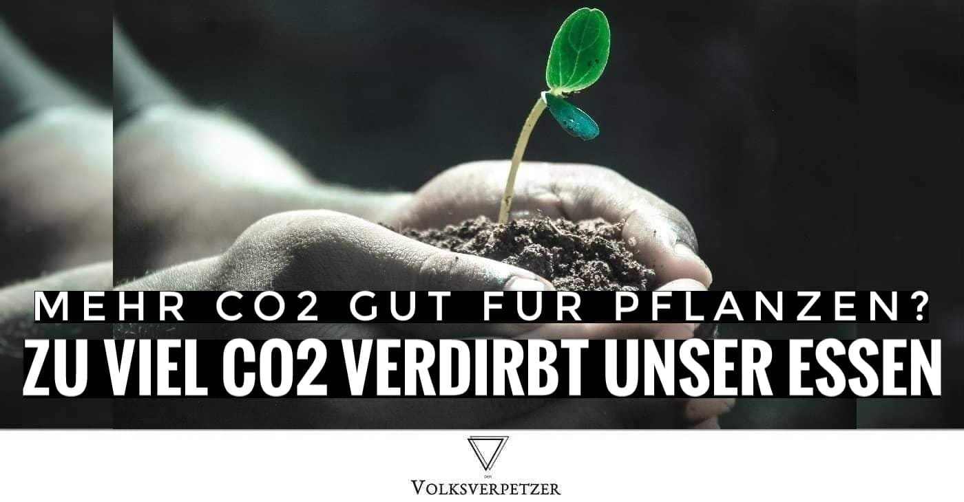 CO2 & Pflanzenwachstum: So schlecht ist zu viel CO2 für unser Essen