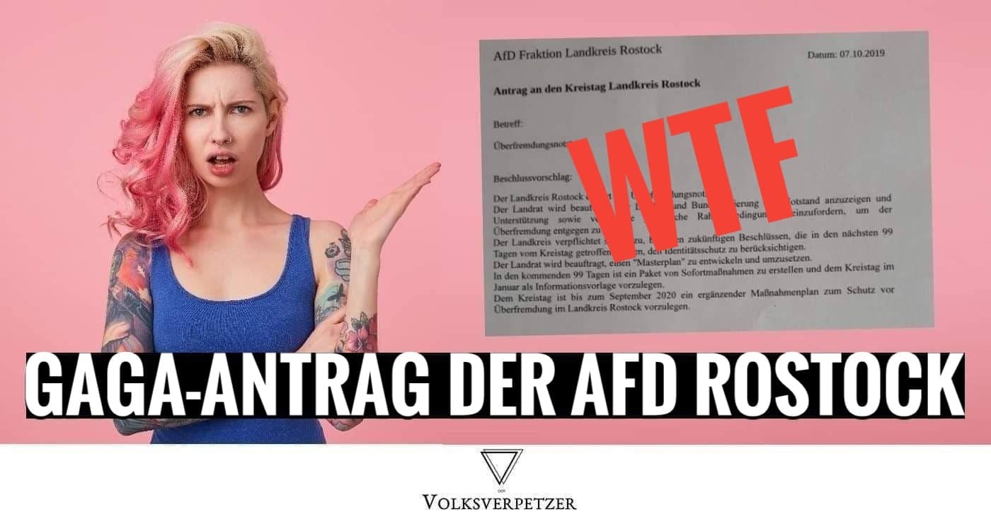Nazi-Sprache: AfD Rostock blamiert sich mit diesem irren Antrag
