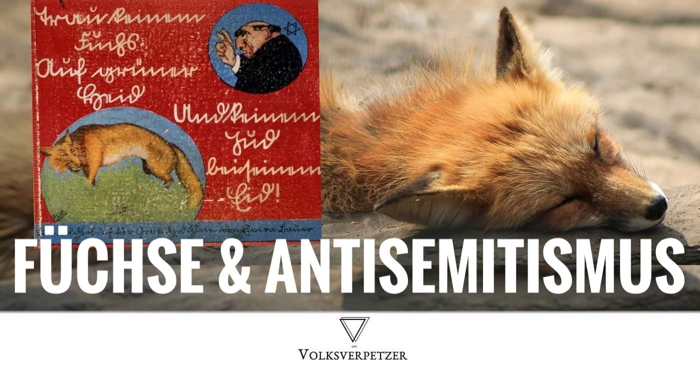 AfD-Frau trägt toten Fuchs zum Auschwitz-Gedenktag – Füchse werden vergast