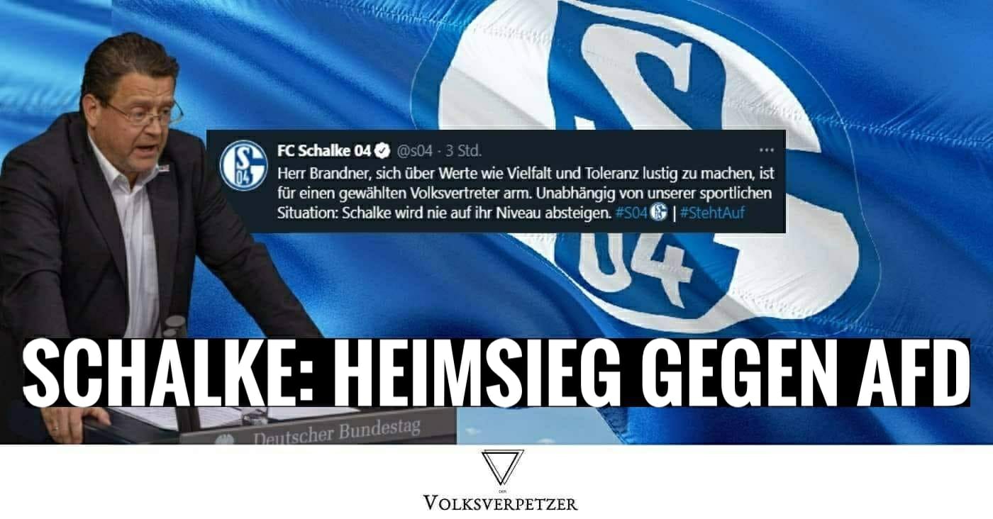 Schalke mit Heimsieg gegen die AfD – das Netz feiert die Reaktion