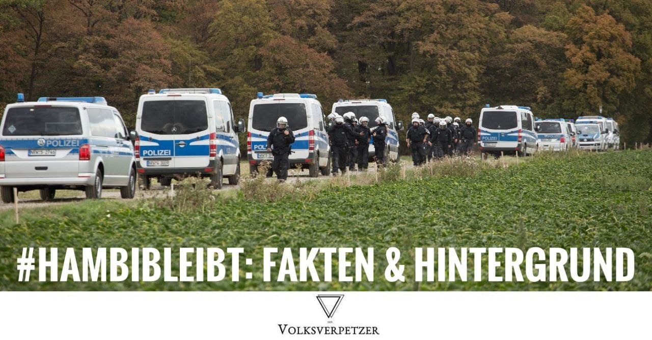 Laschet ließ Hambacher Forst rechtswidrig räumen: „Ja, ich brauchte einen Vorwand“
