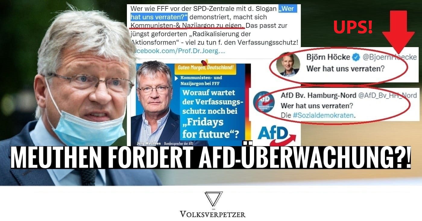 Meuthen: „Kommunisten- & Nazijargon“ bei der AfD?! – AfD schießt Eigentor!