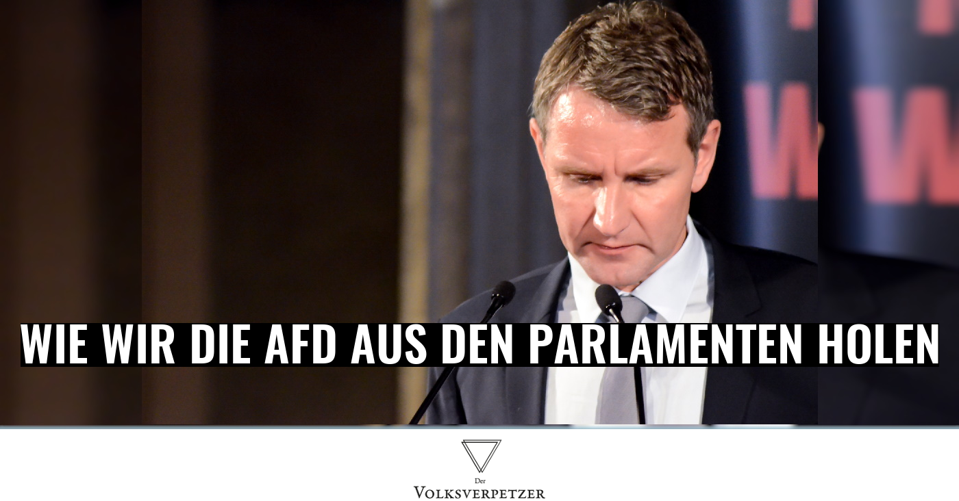 Die Landtagswahl SH zeigt: Abgrenzung von Rechts schadet der AfD!