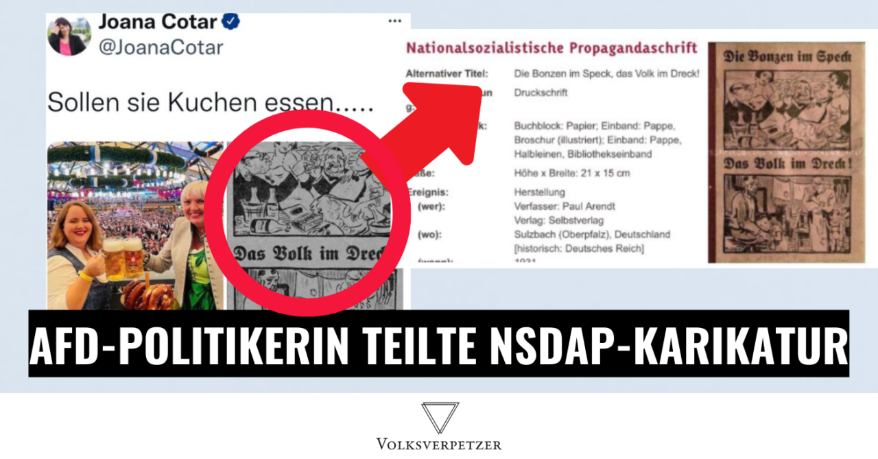 AfD-Politikerin hetzte mit NSDAP-Karikatur gegen die Grünen