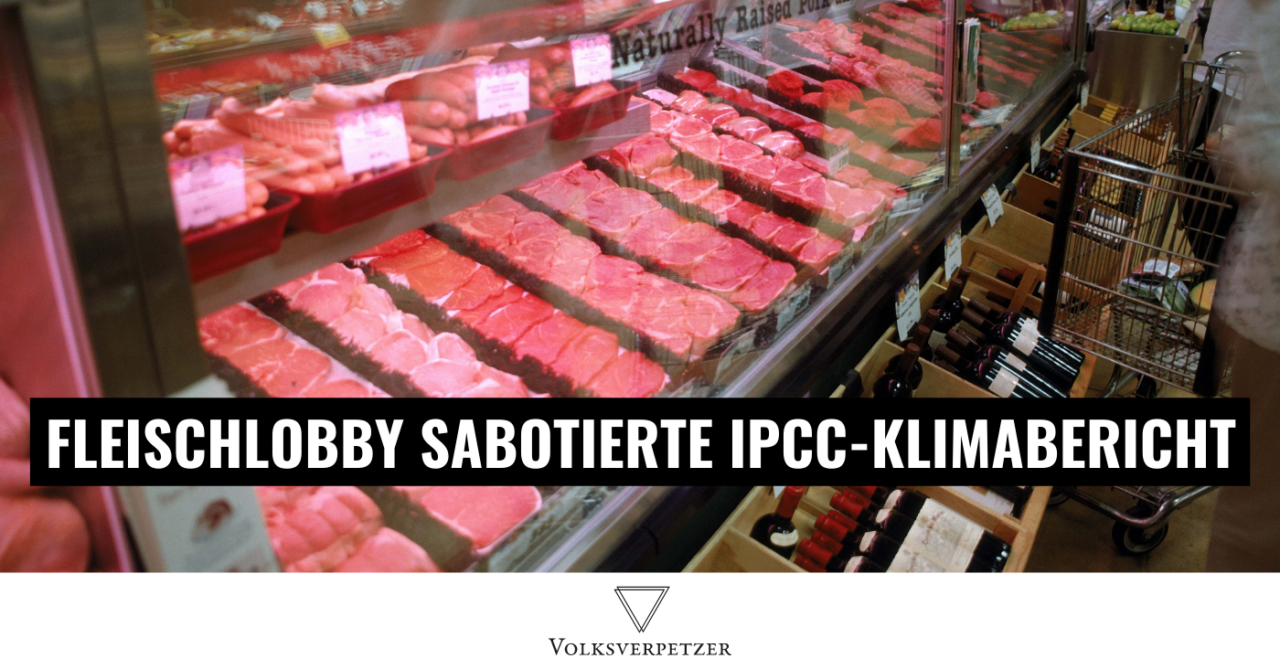 Wie die Fleischlobby den IPCC-Klimabericht sabotiert hat
