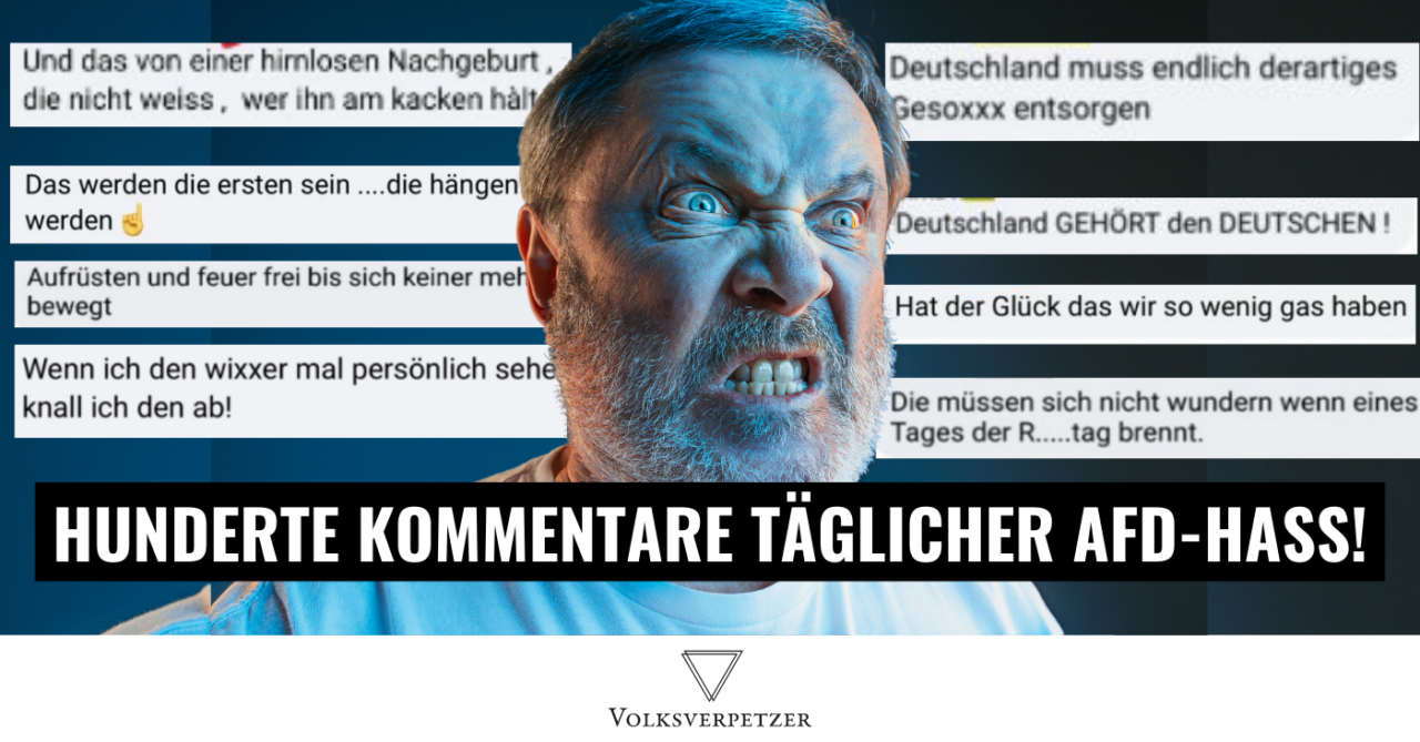 AfD-Alltag: „Hirnlose Nachgeburt“, „Alte Drecksmade“, „Wixxer abknallen!“
