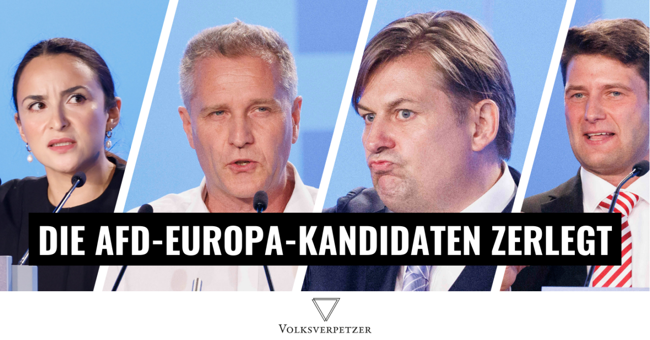 Die gruseligsten Highlights der AfD-Europawahl-Liste