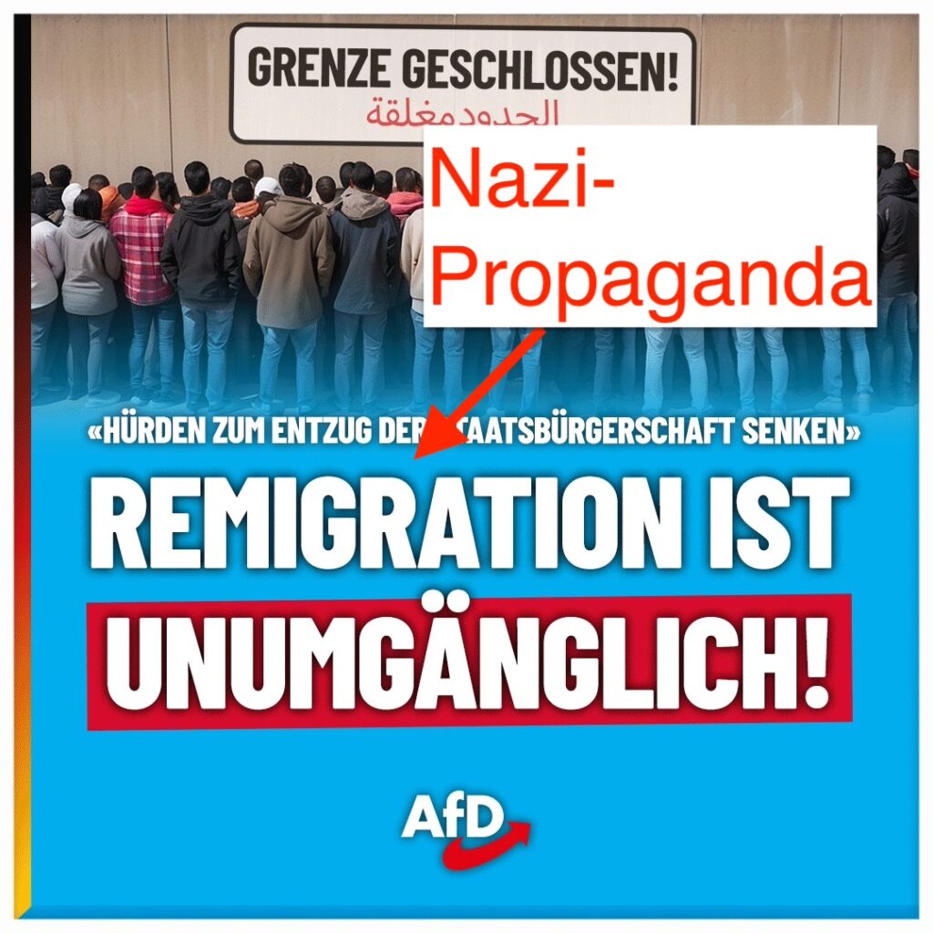 AfD verwendet den rechtsextremen Begriff der "Remigration", der nichts anderes als Deportationen bezeichnet. 