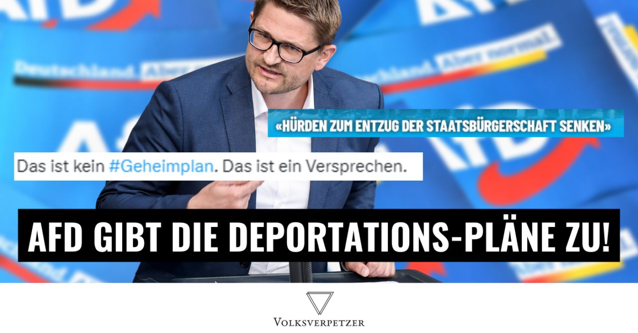 AfD gibt alles zu! Sie werben offen für Massen-Deportationen