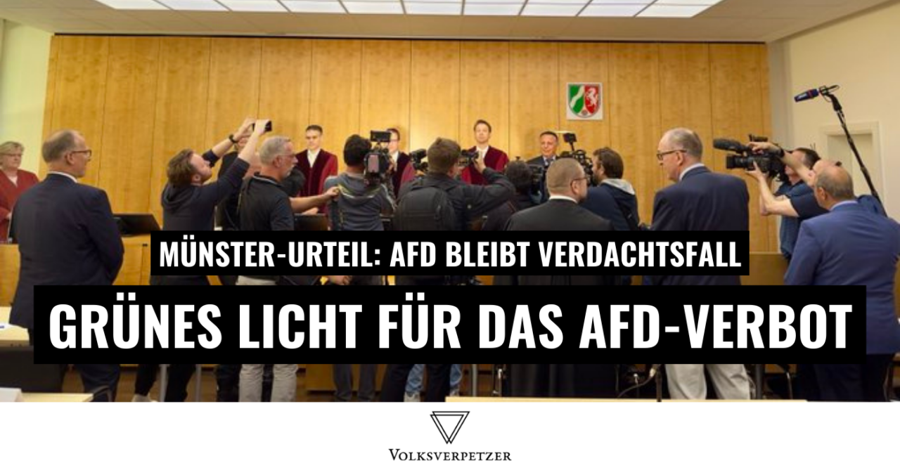 Münster: Dieses Urteil könnte zum Verbot der AfD führen