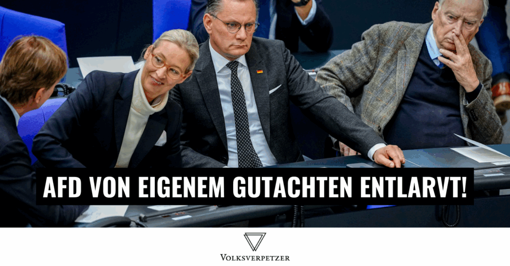 AfD Gutachten gesichert rechtsextrem