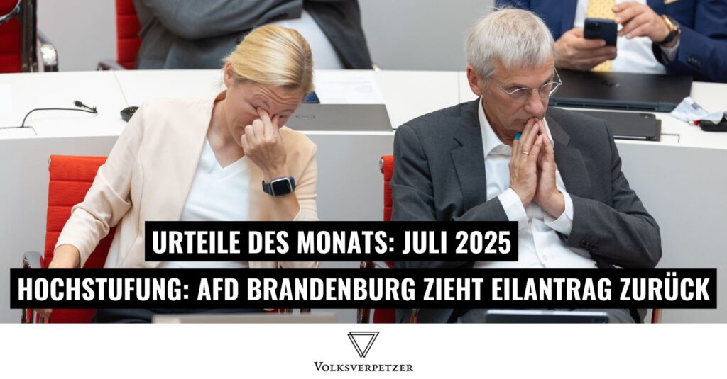 Afd brandenburg