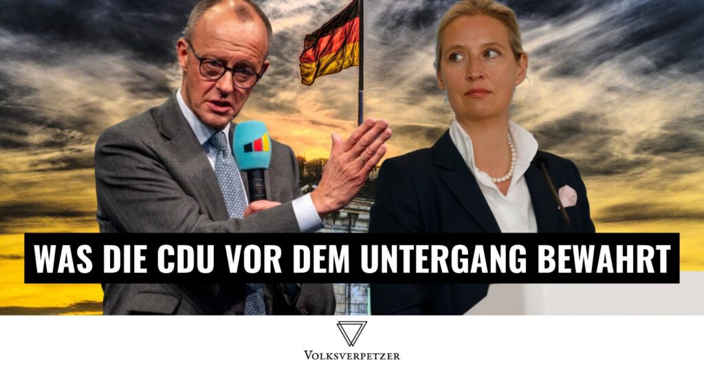 Vorlage (29)