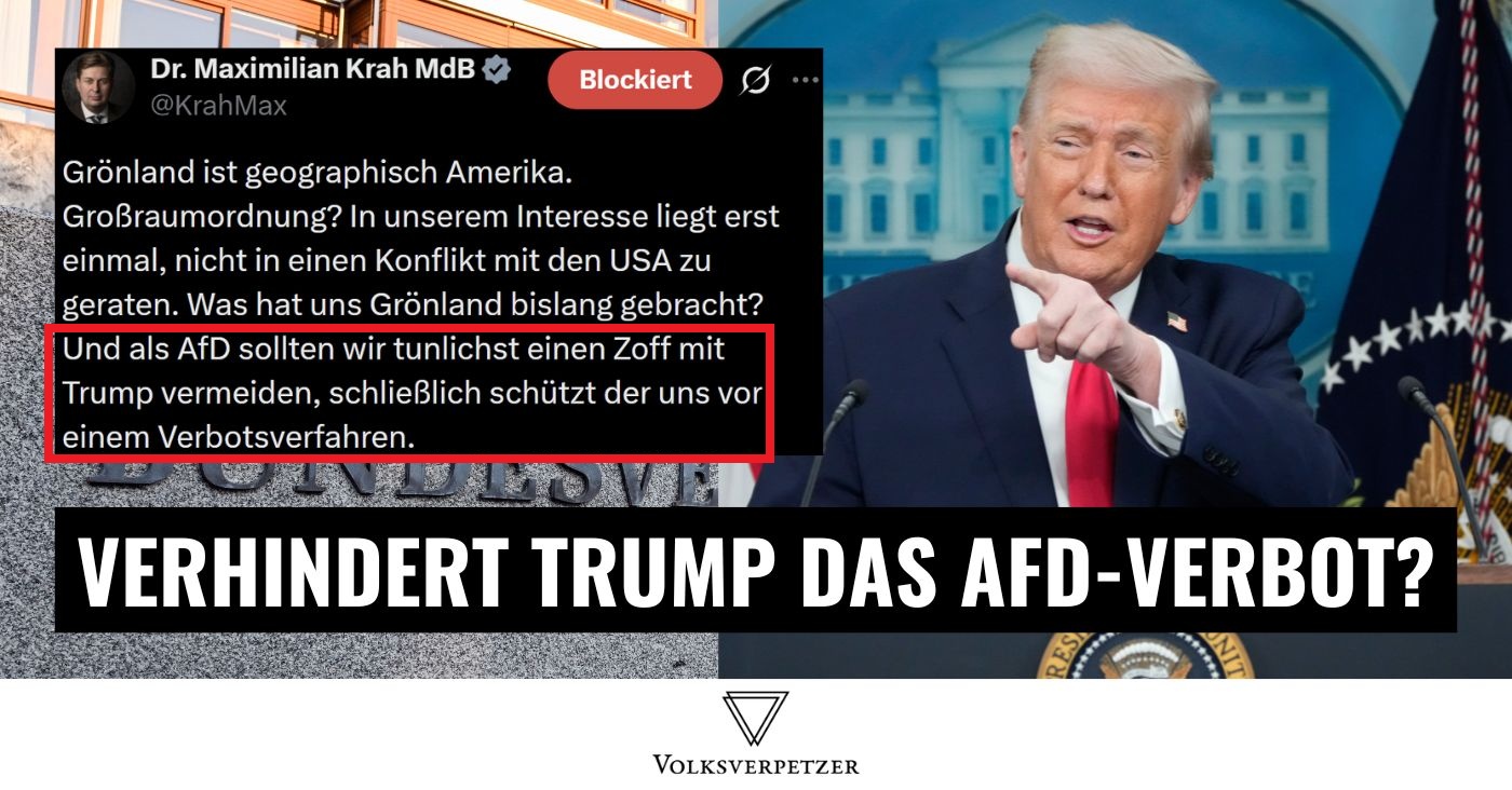 Schützt Trump die AfD vor dem Verbotsverfahren?