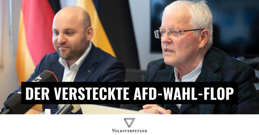 AfD wahl flop