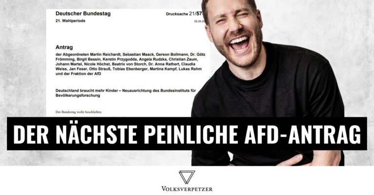 Die AfD schreibt bei der AfD ab – samt peinlicher Fehler!